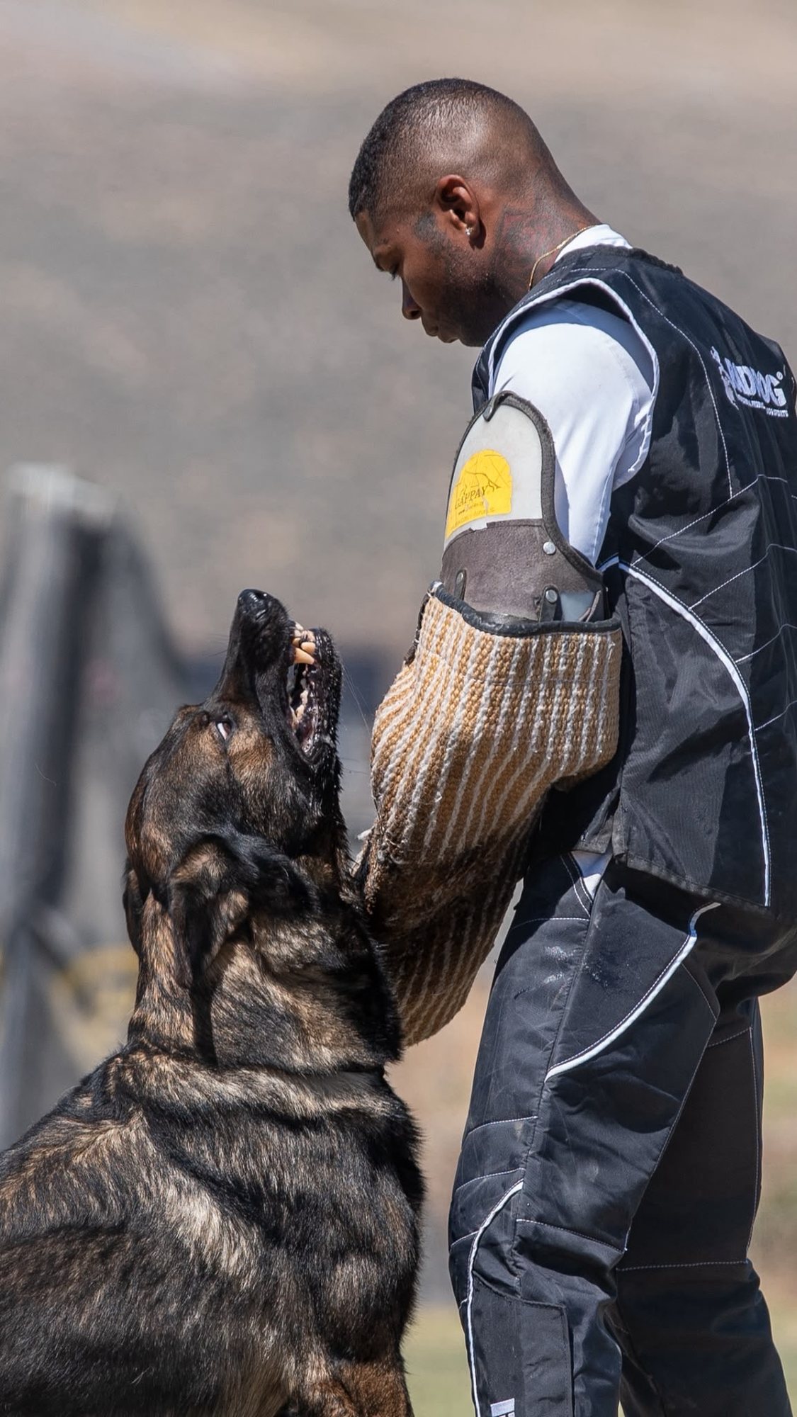 Damon Jones working protection training with a German Shepherd